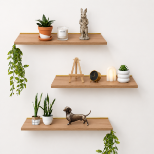Floating Wooden Shelf & Bracket